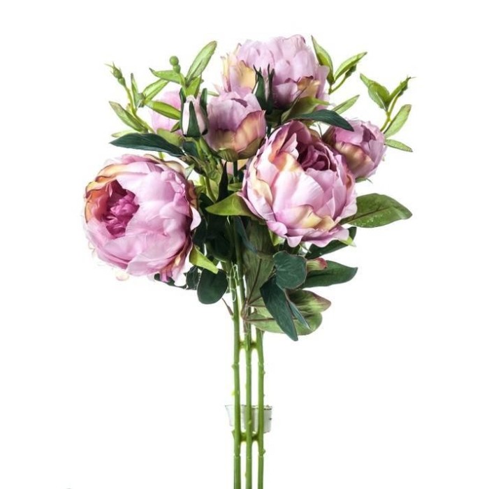 BUNCH PEONIA MAUVE